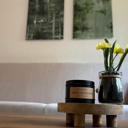 Bitterfelder Cityapartment Im Dichterviertel 外观 照片